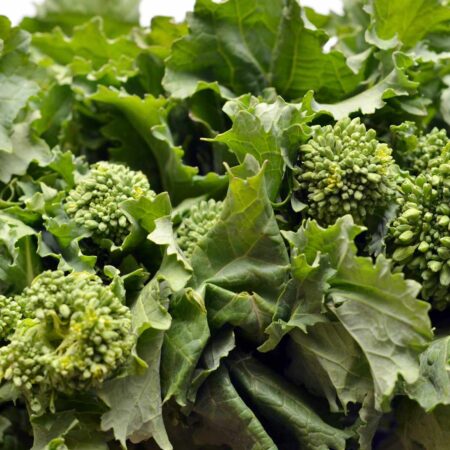 Broccoli Rabe from Migliorelli Farm