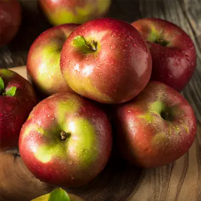 Macintosh Apples from Migliorelli Farm