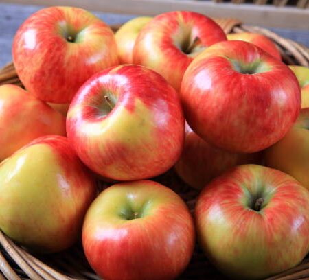 Apples various varieties