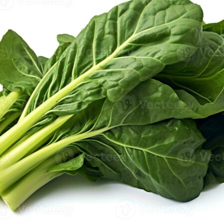Collard Greens from Migliorelli Farm